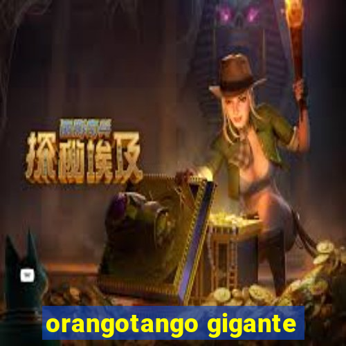 orangotango gigante